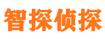 峡江调查事务所